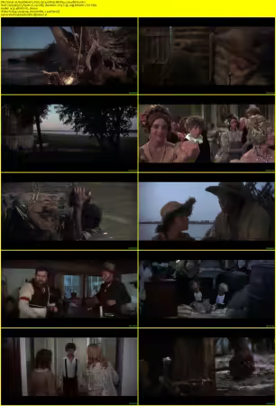 Huckleberry Finn 1974 1080p BluRay x264-BitSa