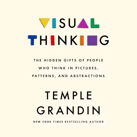 Visual Thinking: The Hidden Gifts of People Who Think in Pictures, Patterns, and Abstractions (Audiobook)