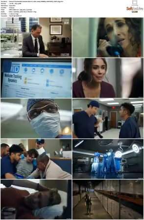 The Resident S02 1080p WEBRip 10Bit DDP5.1 HEVC-d3g
