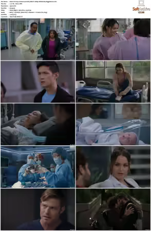 Greys Anatomy S21 MULTI 1080p WEB H264-SCENE