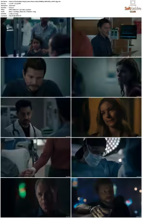 The Resident S05 1080p WEBRip 10Bit DDP5.1 HEVC-d3g