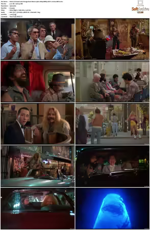 Cheech and Chongs Next Movie 1980 1080p BRRip AAC2.0 h264-XBiTs
