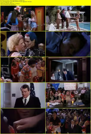 Joysticks 1983 1080p BluRay x264-BitSa