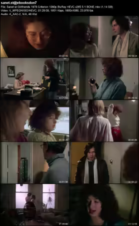 Girlfriends 1978 Criterion 1080p BluRay HEVC x265 5.1 BONE