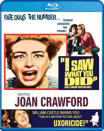 I Saw What You Did 1965 1080p BluRay x264-BitSa