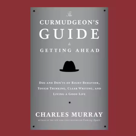 The Curmudgeon's Guide to Getting Ahead (Audiobook)