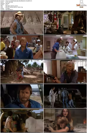 Lone Wolf McQuade 1983 1080p BRRip AAC1 0 h264-XBiTs