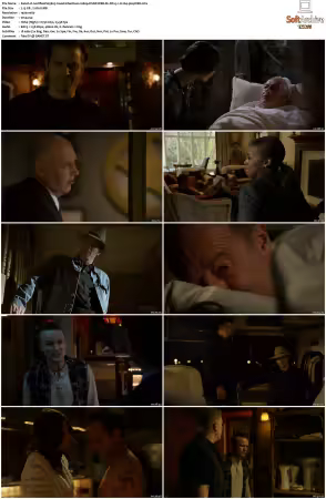 Justified S05 1080p DSNP WEB-DL DDP 5.1 H264-playWEB
