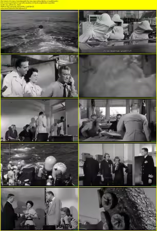 It Came from Beneath the Sea 1955 1080p BluRay x264-BitSa