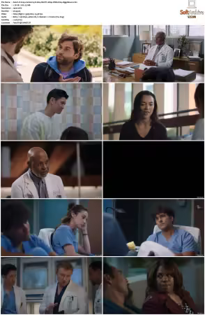 Greys Anatomy S21 MULTI 1080p WEB H264-SCENE