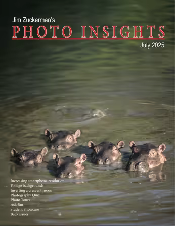 Photo Insights - July 2025