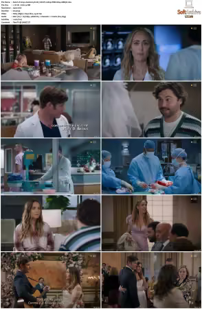 Greys Anatomy S21 MULTI 1080p WEB H264-SCENE