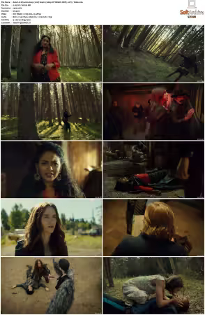 Wynonna Earp 2016 S04 1080p NF WEB-DL DDP5.1 AV1-Vialle