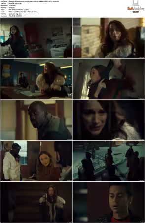 Wynonna Earp 2016 S02 1080p NF WEB-DL DDP5.1 AV1-Vialle