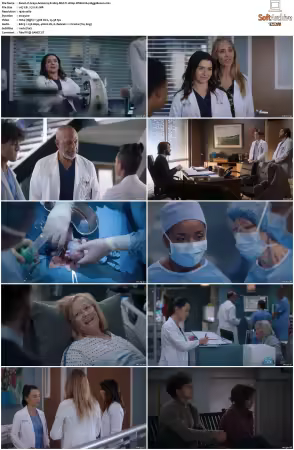 Greys Anatomy S21 MULTI 1080p WEB H264-SCENE