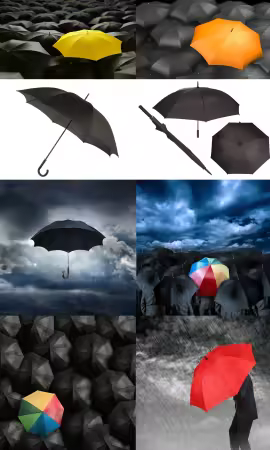 Umbrellas