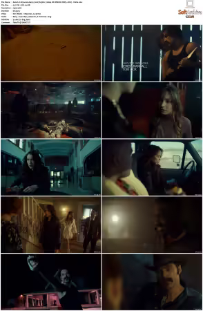 Wynonna Earp 2016 S03 1080p NF WEB-DL DDP5 1 AV1-Vialle