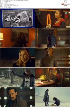Wynonna Earp 2016 S01 1080p NF WEB-DL DDP5 1 AV1-Vialle