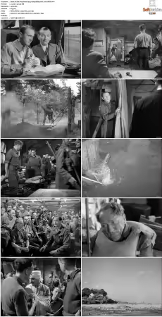 The Way Ahead 1944 1080p BRRip AAC x265-XBiTs