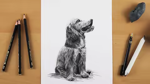 Drawing Made Clear: From Sketch To Realistic Animals
