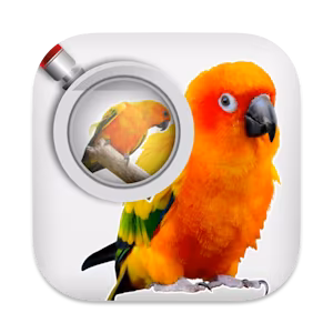 Hidden Pairs 3 - Lovely Birds macOS