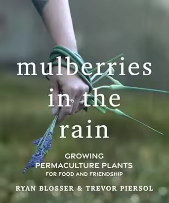Mulberries in the Rain: Growing Permaculture Plants for Food and Friendship