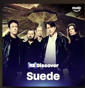 REDISCOVER Suede (2025)