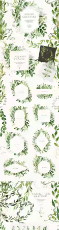 Watercolor Spring Greenery, Foliage &amp; Climbing Plants[PNG/PSD]