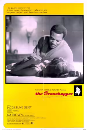 The Grasshopper 1970 720p x264-Classics