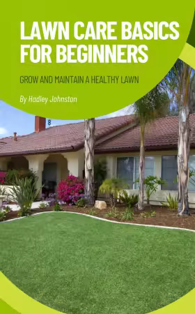 Lawn Care Basics for Beginners: Grow and Maintain a Healthy Lawn