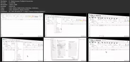 Excel: Data Analysis, Functions, Charts &amp; Power Tools