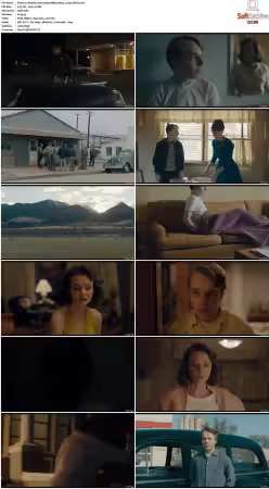 Wildlife 2018 1080p BRRip AAC5.1 h264-XBiTs