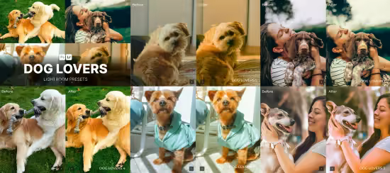 EE - Dog Lovers Lightroom Presets - WZ JTZQ96B