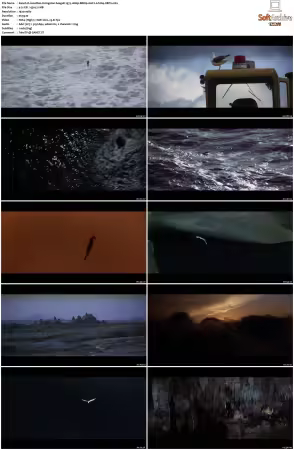 Jonathan Livingston Seagull 1973 1080p BRRip AAC2.0 h264-XBiTs