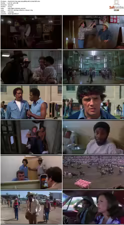 Stir Crazy 1980 1080p BRRip AAC1 0 h264-XBiTs
