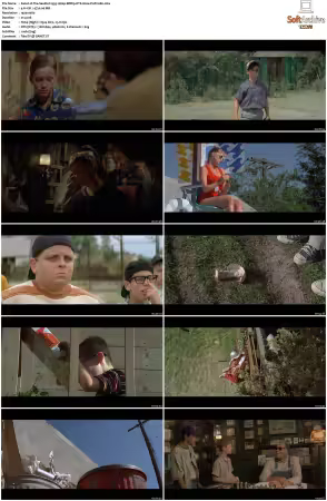 The Sandlot 1993 1080p BDRip DTS H264-PoPCoRn