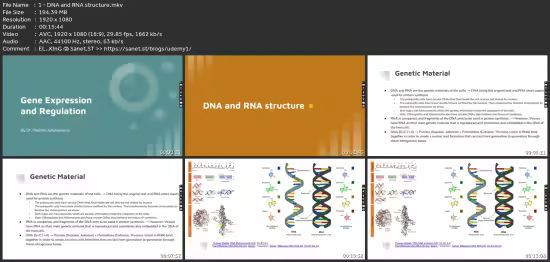 Ap Biology Unit 6: Gene Expression And Regulation