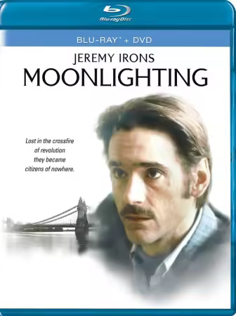 Moonlighting 1982 1080p BluRay x264-OFT