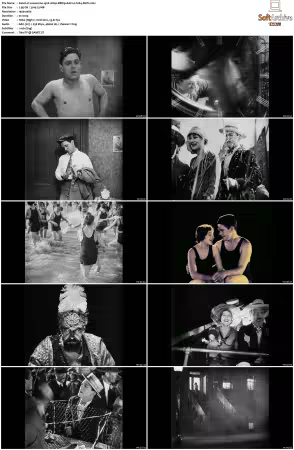 Lonesome 1928 1080p BRRip AAC1.0 h264-XBiTs