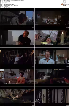 The Omega Man 1971 1080p BRRip AAC1 0 h264-XBiTs