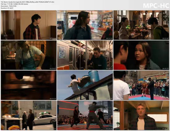 Karate Kid Legends 2025 1080p BluRay x264-PiGNUS