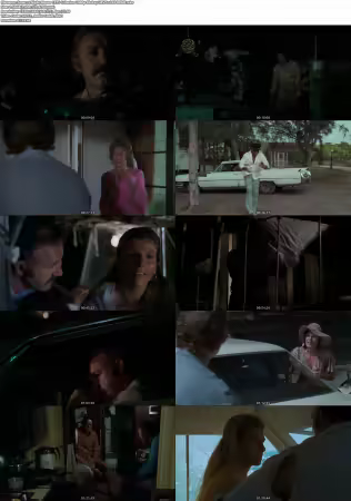 Night Moves 1975 Criterion 1080p BluRay HEVC x265 BONE