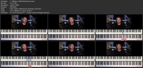 Understanding Diminished Harmony