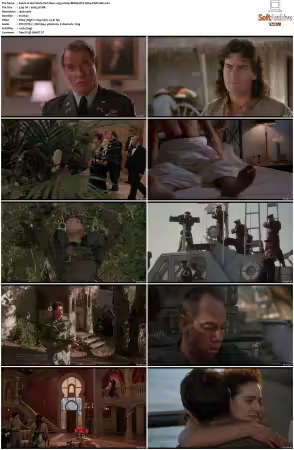 Hot Shots Part Deux 1993 1080p BDRip DTS H264-PoPCoRn