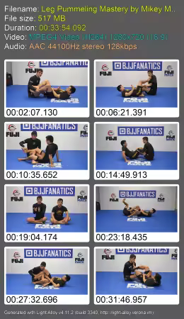 BJJ Fanatics - Leg Pummeling Mastery
