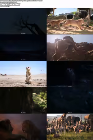 The Lion King 2019 2160p 4K BluRay x265 10bit AAC 5.1-YTS