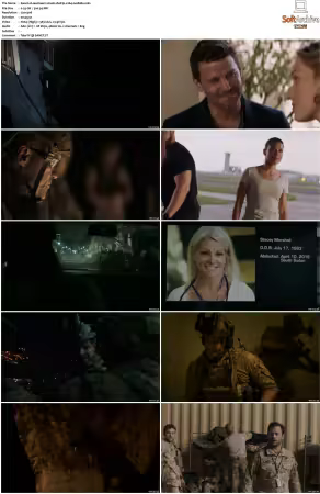 SEAL Team S01 S07 DVDRip x264-Scene
