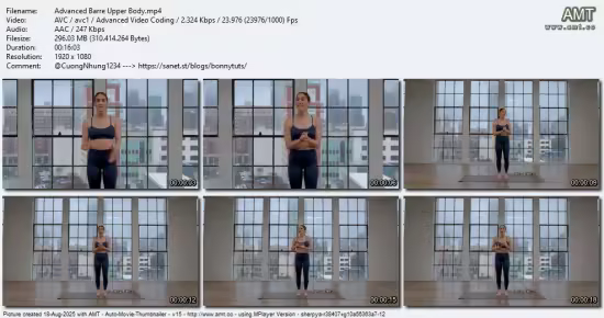 AloMoves - Advanced Barre Upper Body