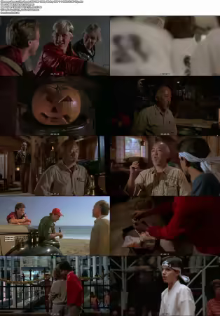 The Karate Kid 1984 1080p BluRay DDP 5.1 10bit H265-iVy