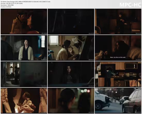 Dear Stranger 2025 1080p SCREENER WEB-DL X264 AAC-AOC